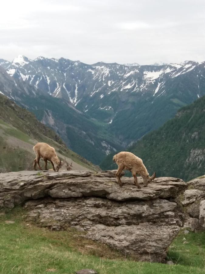 Vacances A La Montagne Saint-Julien-en-Champsaur Dış mekan fotoğraf